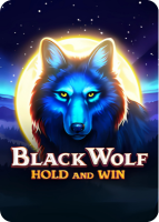 Game Black Wole Hold and Win